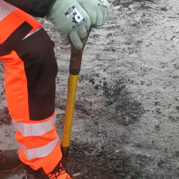 Pred Spruce Thumbnail