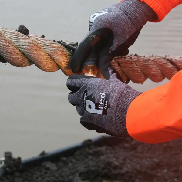 Pred Cedar Thumbnail