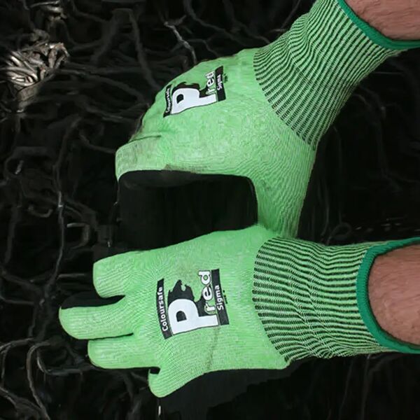 Pred Sigma Thumbnail